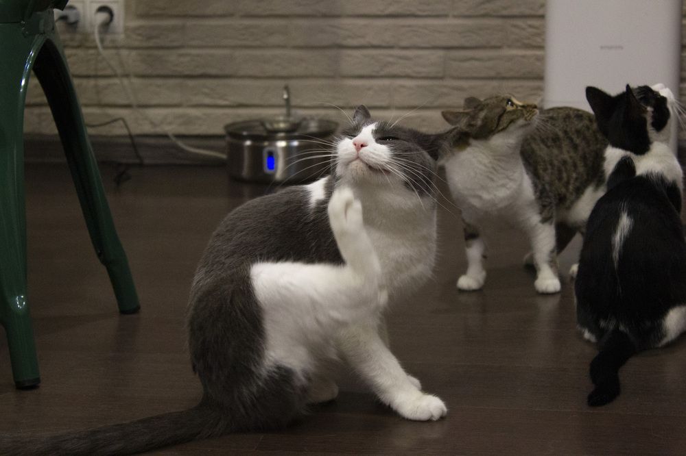 Photograph by Елизавета Колесникова