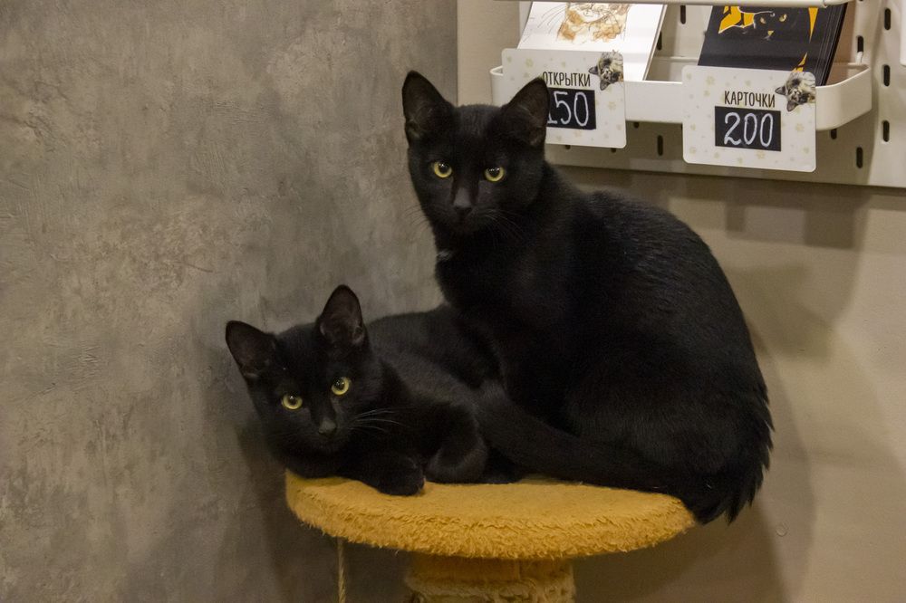 Photograph by Елизавета Колесникова