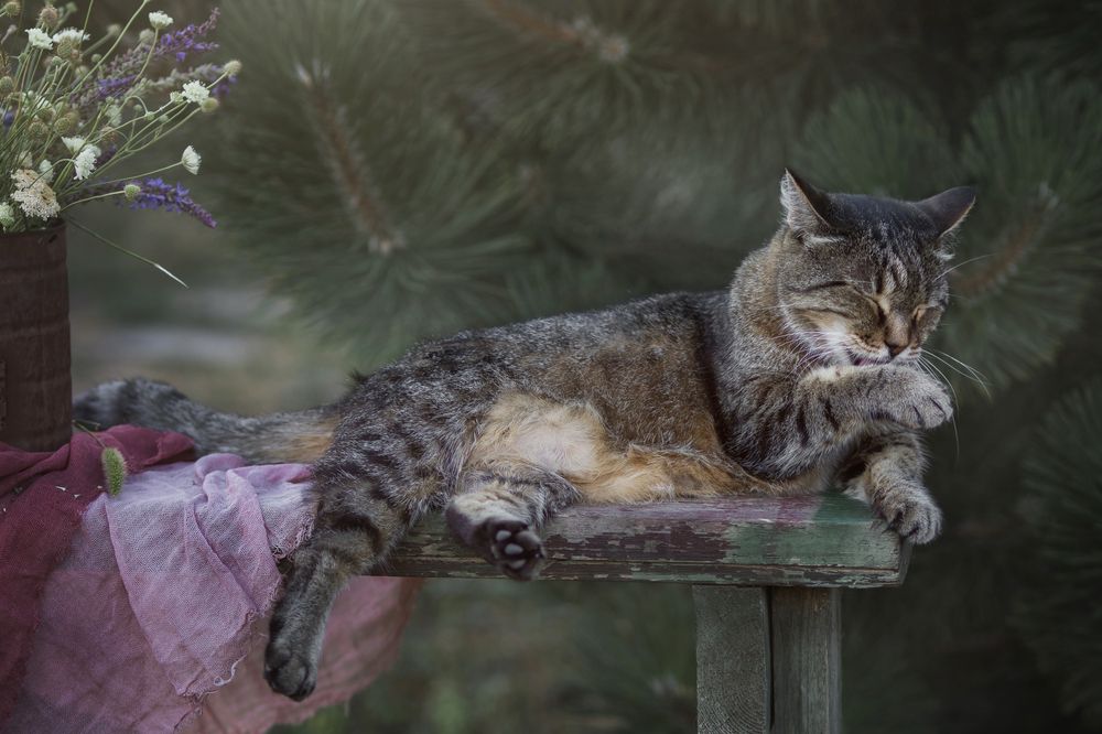 Photograph by Юлианна Митрофанова