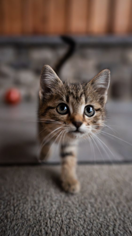 Photograph by Marko Župan