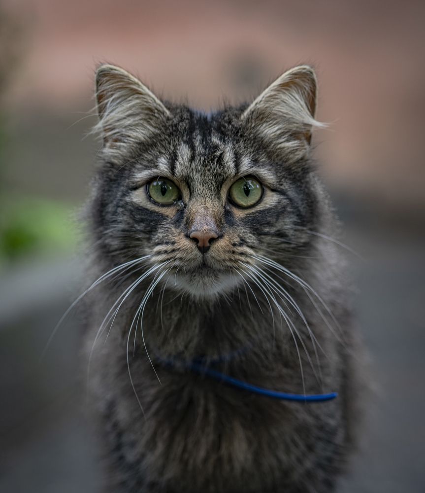 Photograph by ПУЗЕНКО ДМИТРИЙ