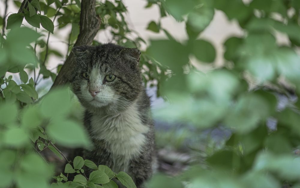 Photograph by Чухров Дмитрий