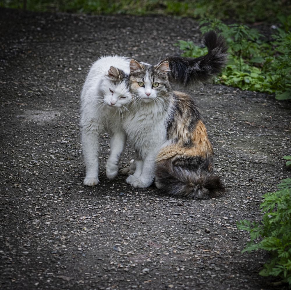 Photograph by Чухров Дмитрий