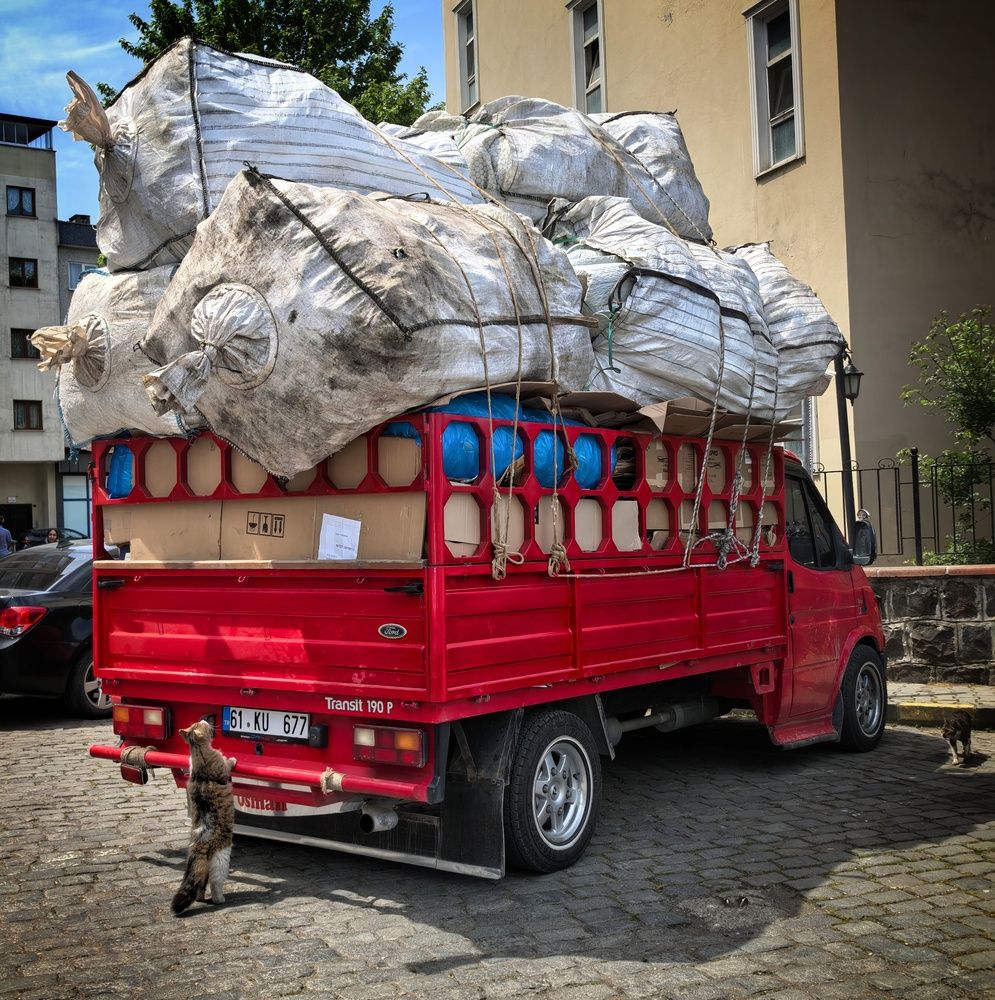 Photograph by Кривенко Владимир