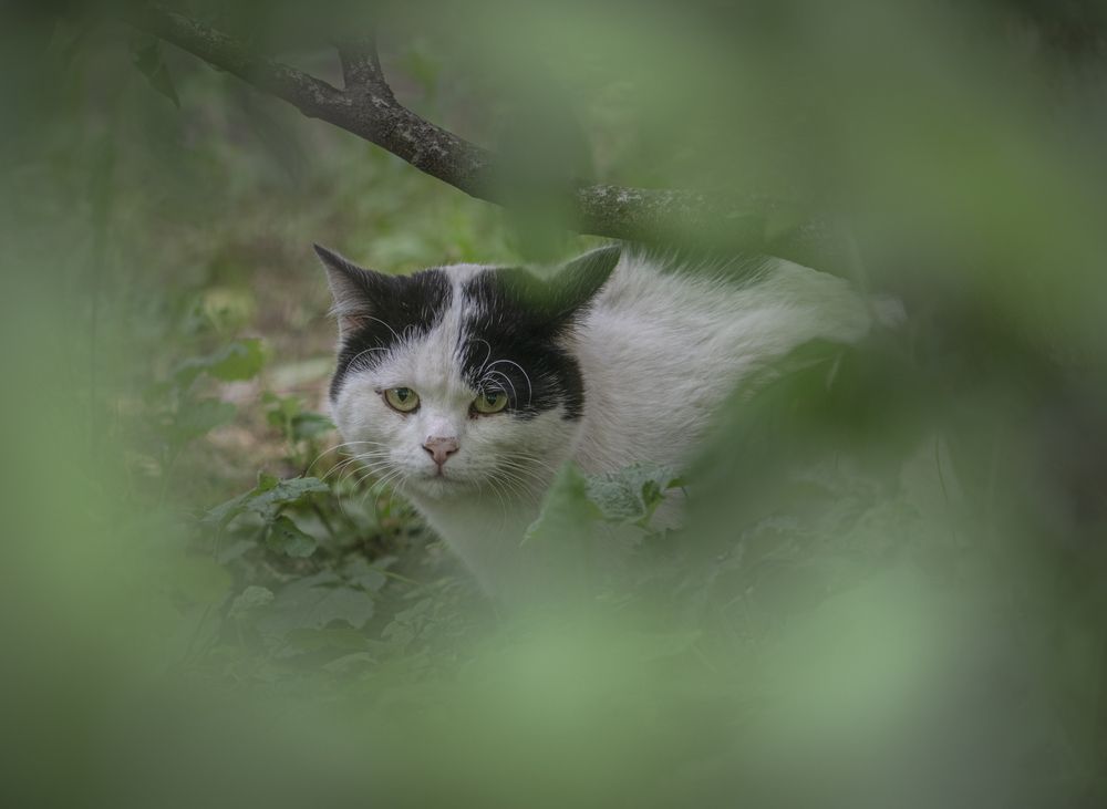 Photograph by Чухров Дмитрий