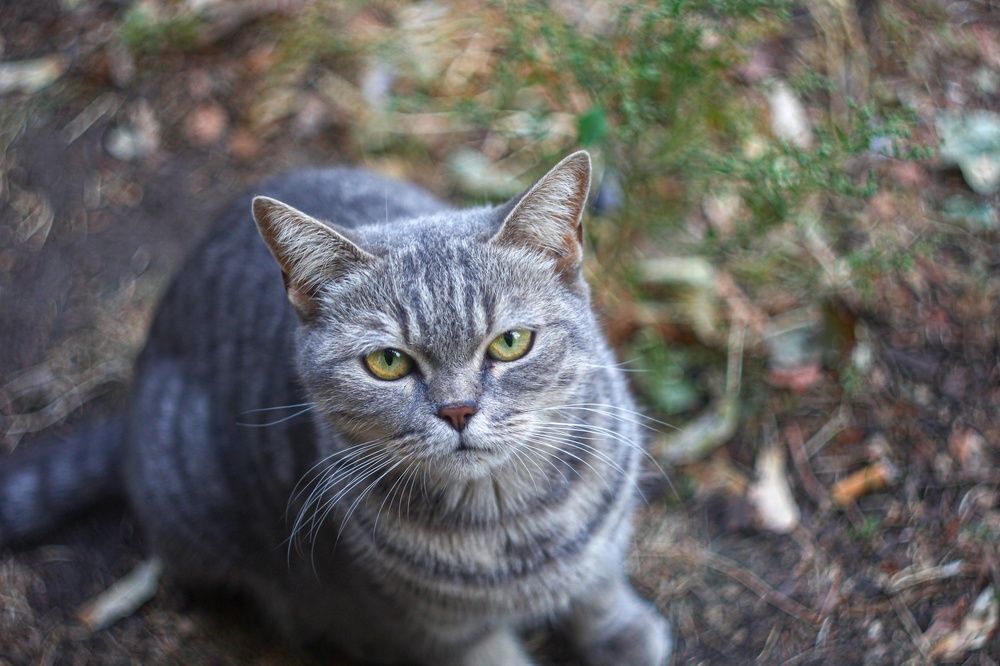 Photograph by Александр Лобынцев