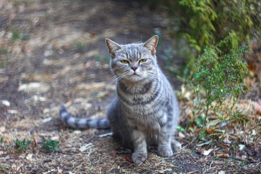 Photograph by Александр Лобынцев