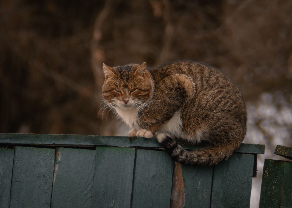 Photograph by Сергей Дишук