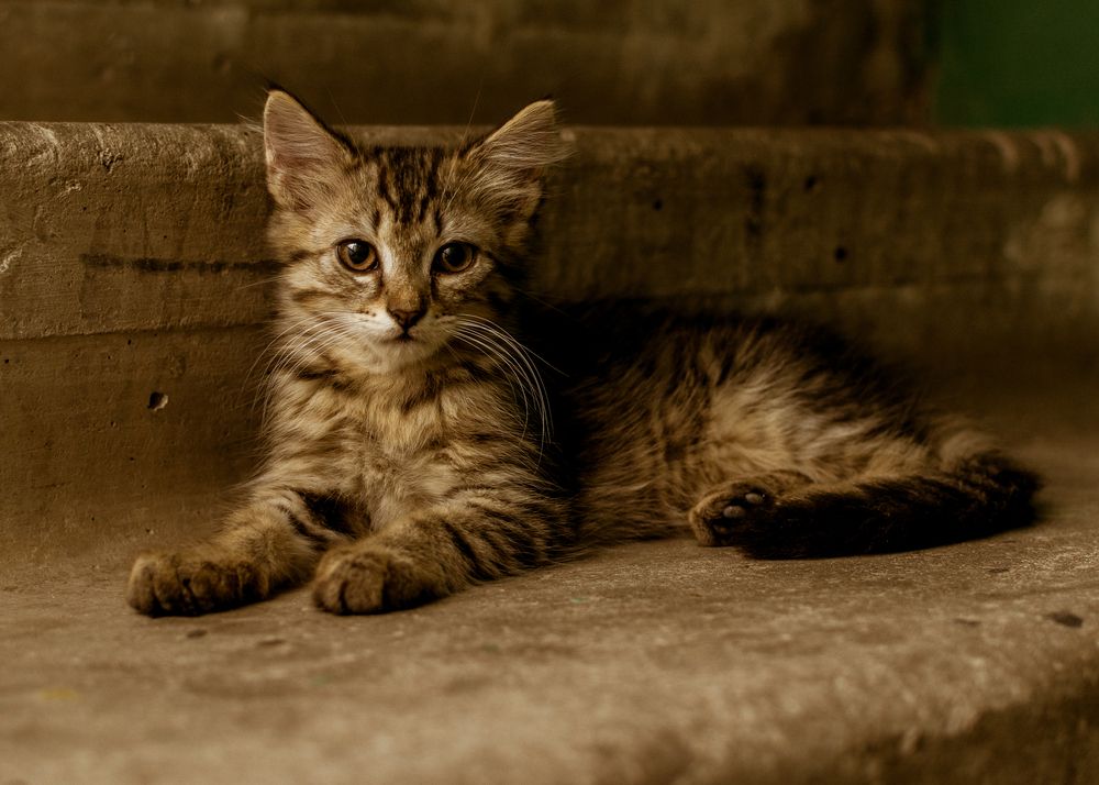 Photograph by Сергей Дишук