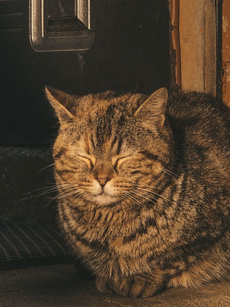 Photograph by Светлана Долганова