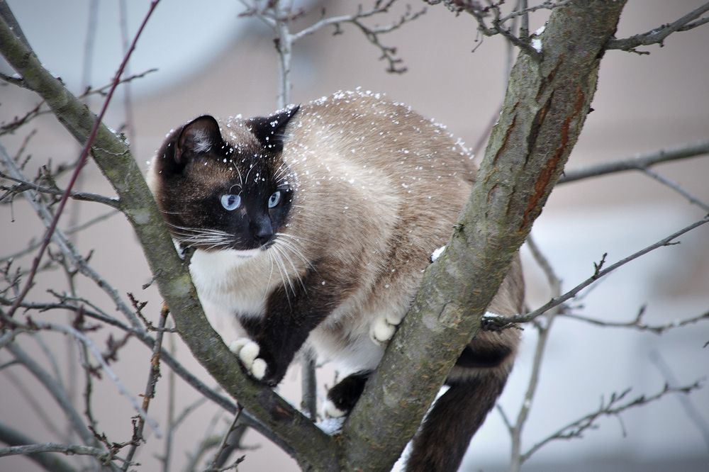 Photograph by Игорь Овсиенко