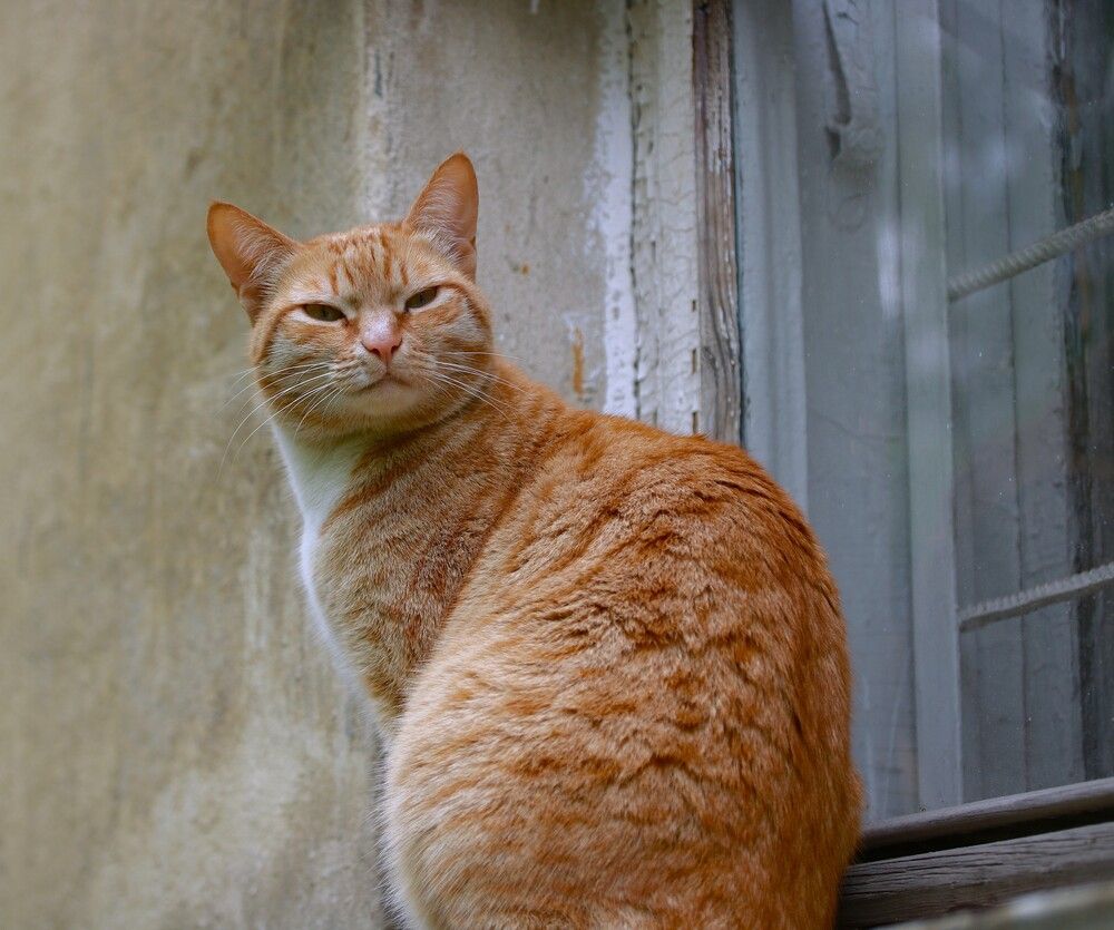 Photograph by Гагик Саркисян