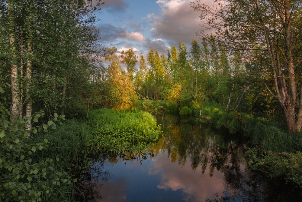 Photograph by Олег Бабурин