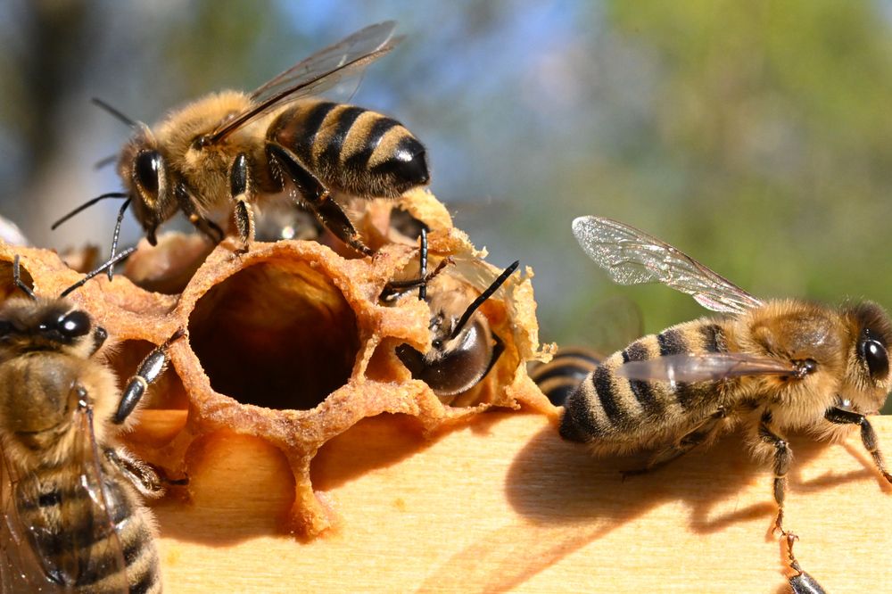 Фотография автора Martina Pürstl