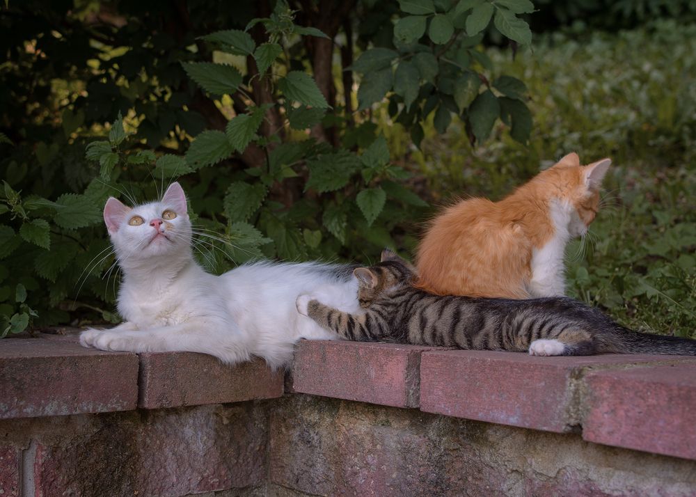 Photograph by Сергей Дишук