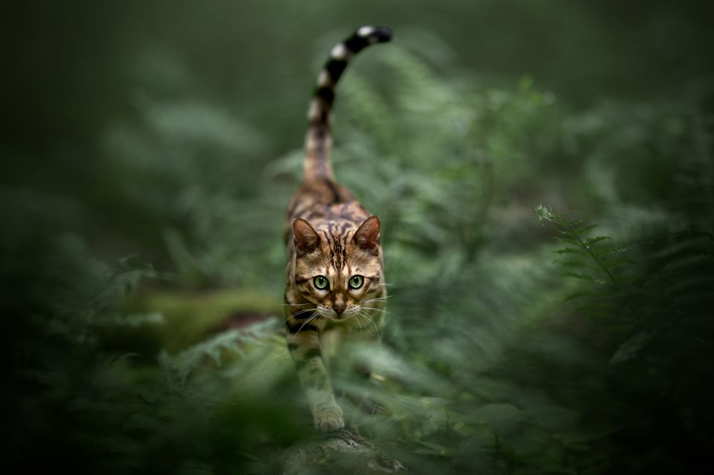 Photograph by Veronika Blažeková