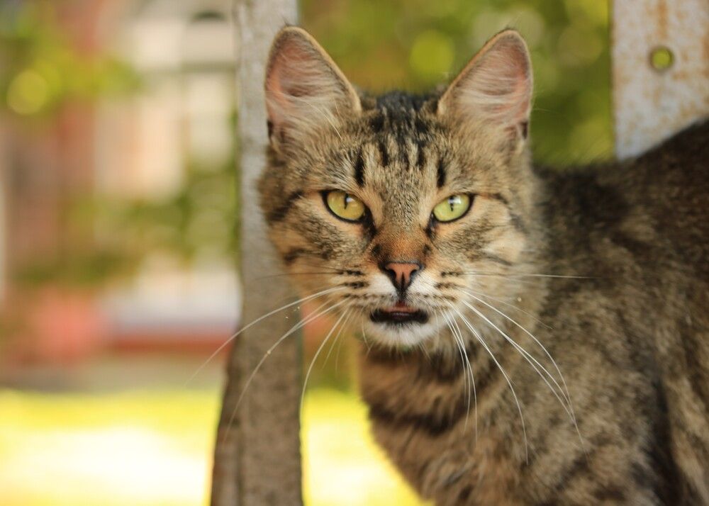 Photograph by Гагик Саркисян