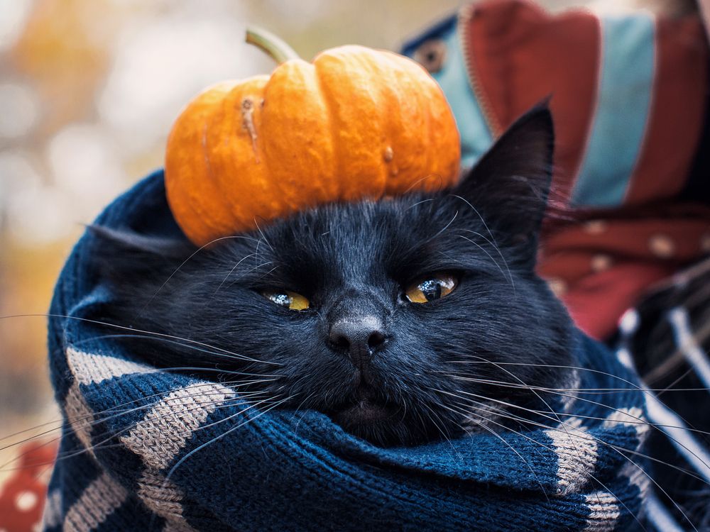 Photograph by Алина Стемковская