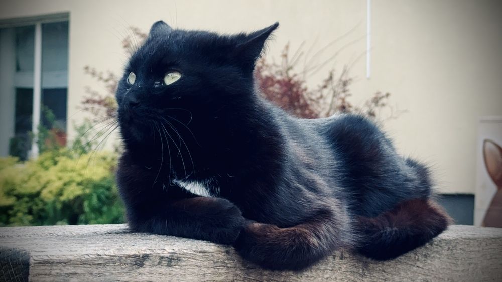 Photograph by Мария Смирнова