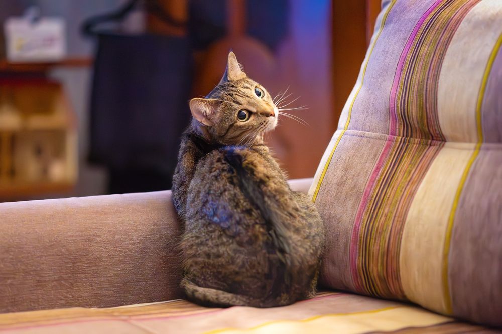 Photograph by Ирина Ященко