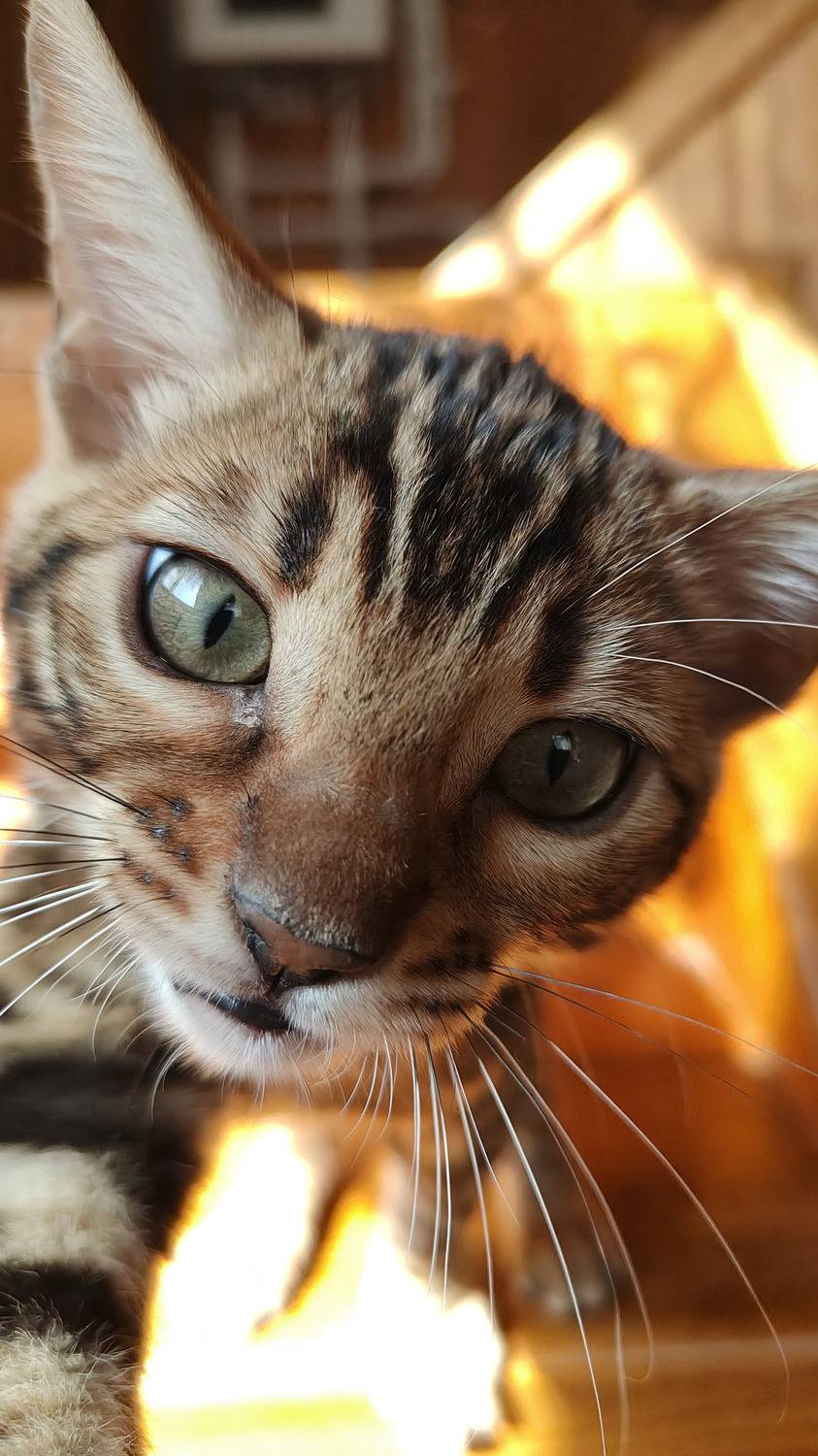 Photo #12248896