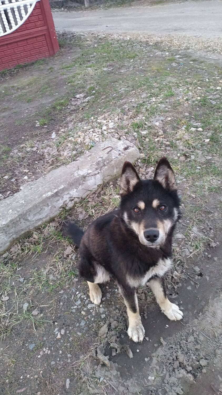 Бродяга