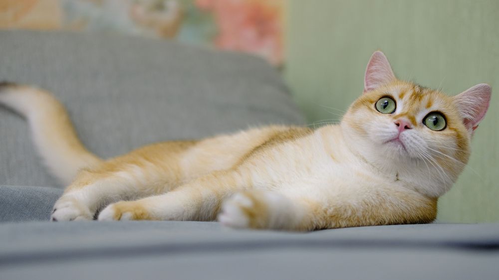 Photograph by Александр Елизаров