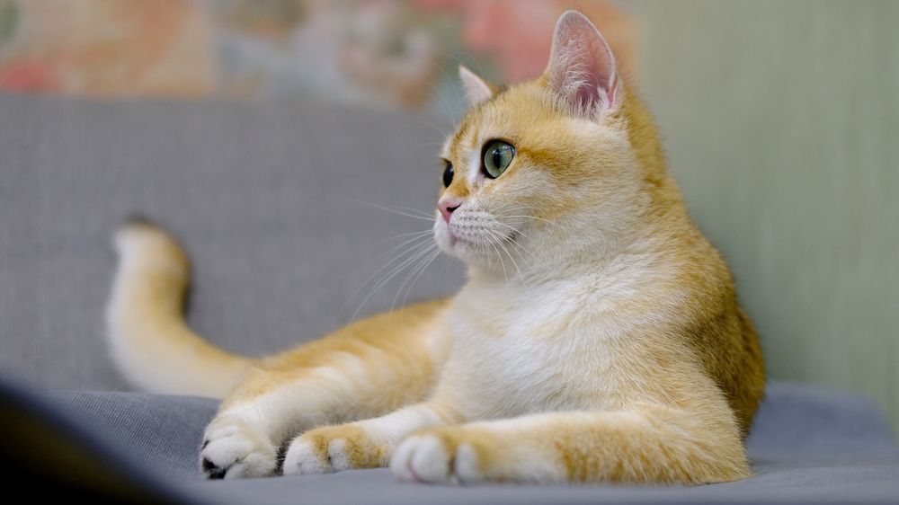 Photograph by Александр Елизаров