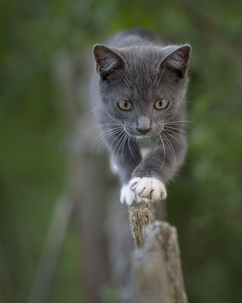 Photograph by Александр Гвоздь