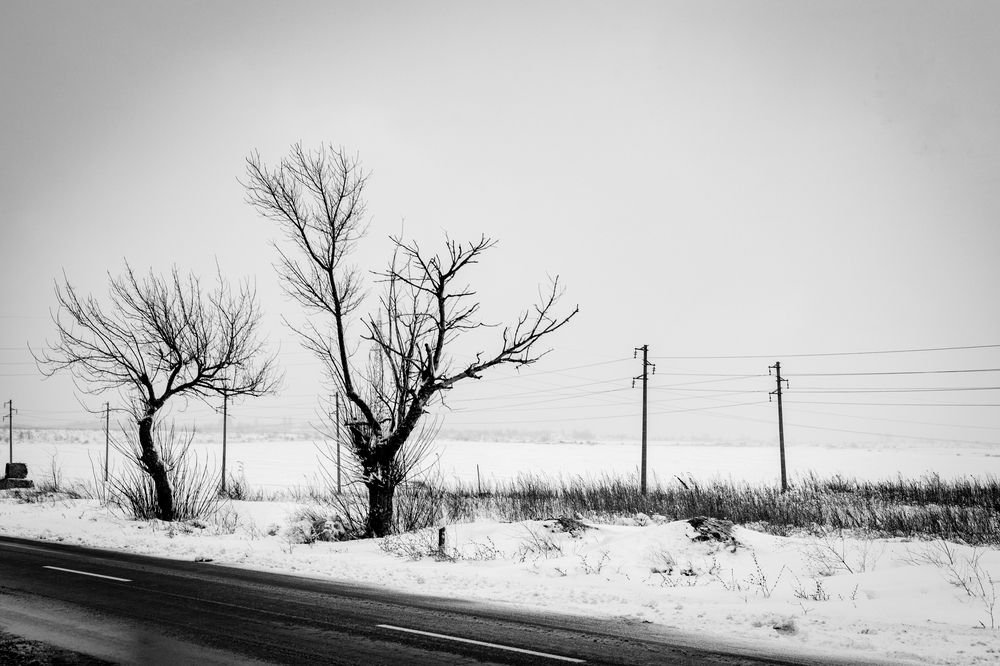 Photograph by Georgi Ivanov