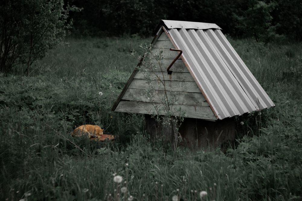 Photograph by Ivangelion [JS]