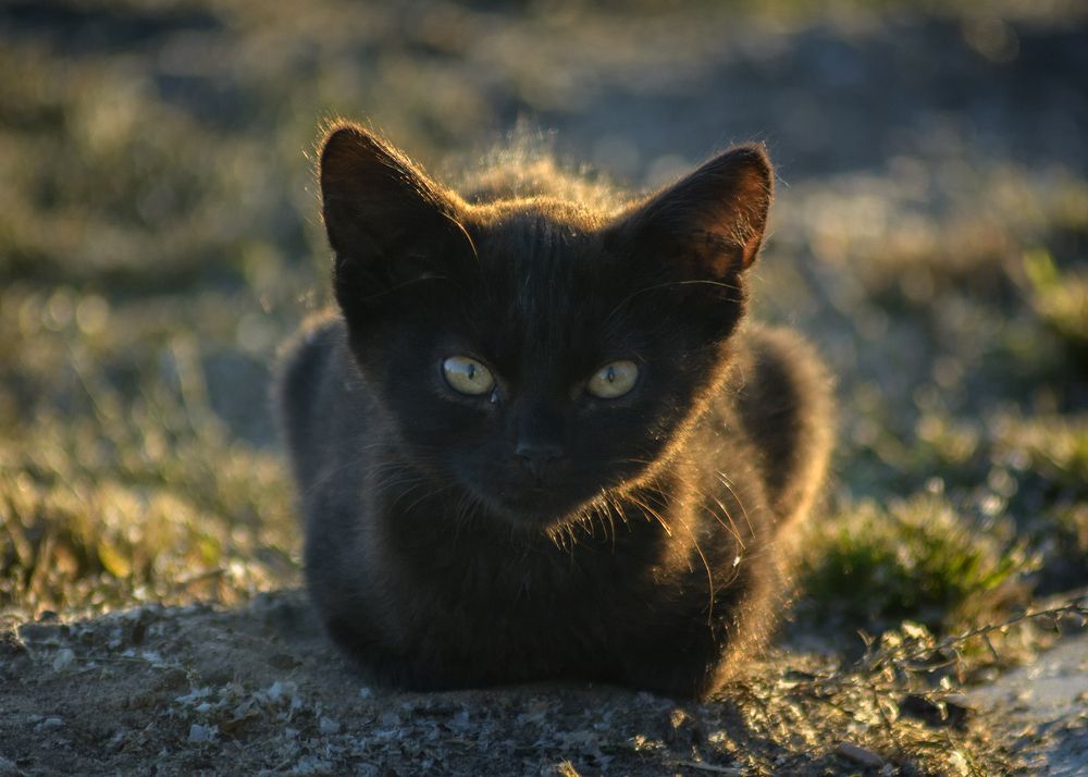 Photograph by Сергей Дишук