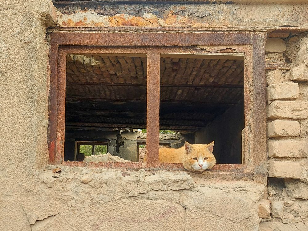 The Lonely Guard of the Abandoned