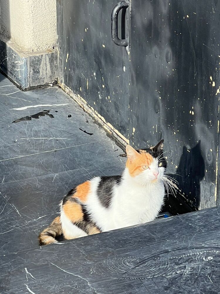 Photograph by Маргарита Алюхина