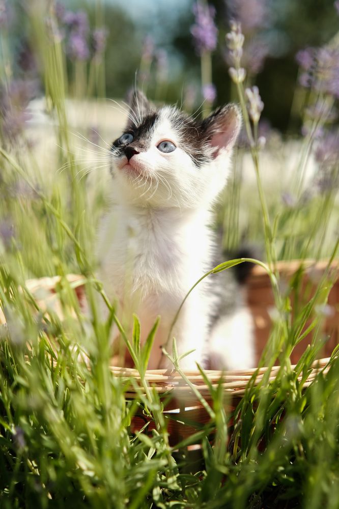 Photograph by Михаил Азаров