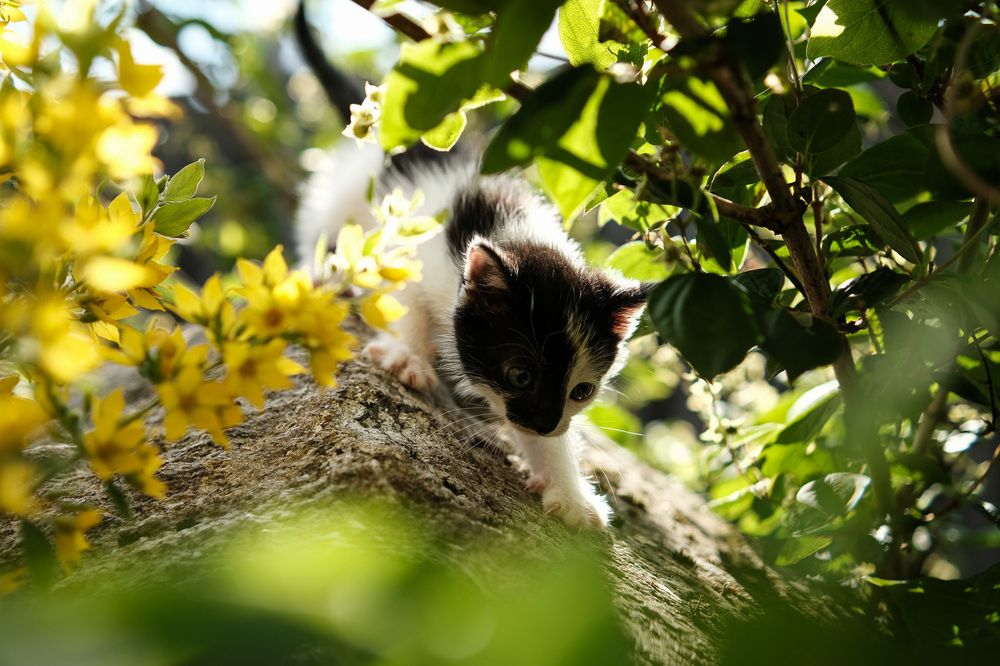 Photograph by Михаил Азаров