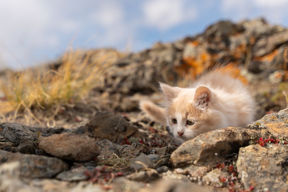 Photograph by Михаил Азаров