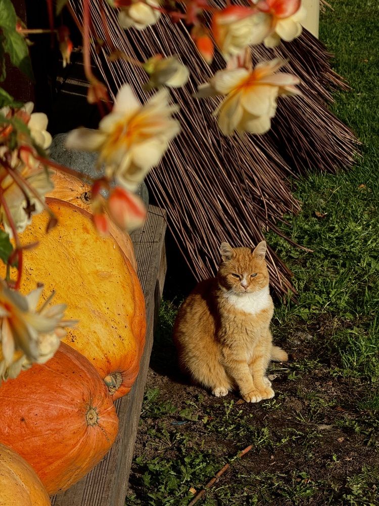 Photograph by Julia JD