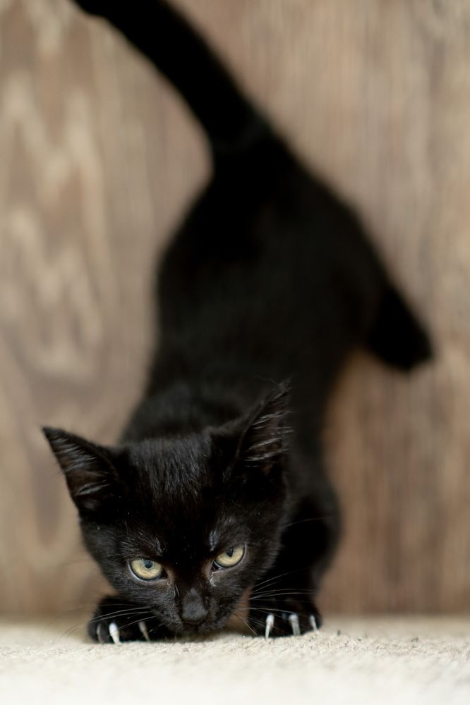 Photograph by Михаил Азаров