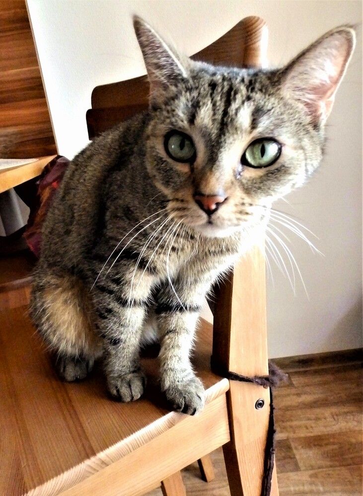 Photograph by Zdeňka Hudcová