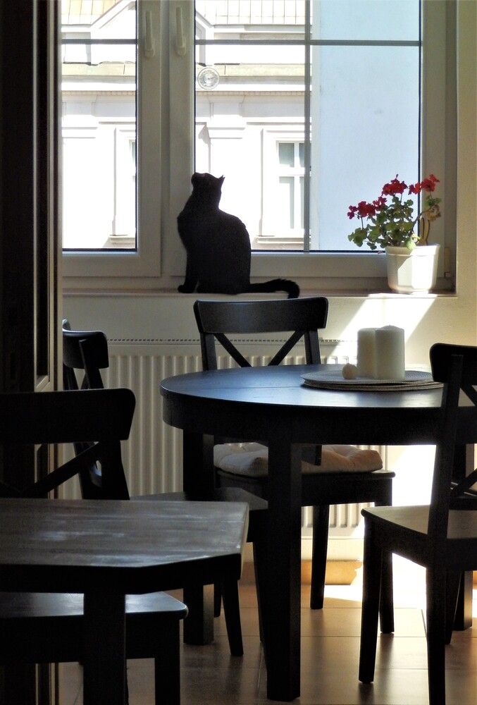 Photograph by Zdeňka Hudcová