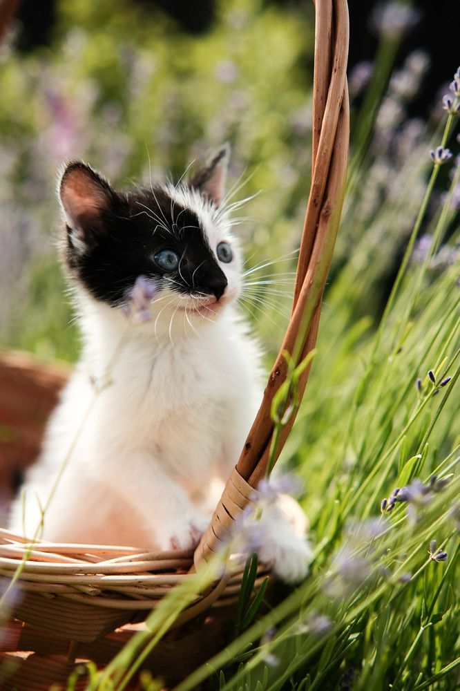 Photograph by Михаил Азаров