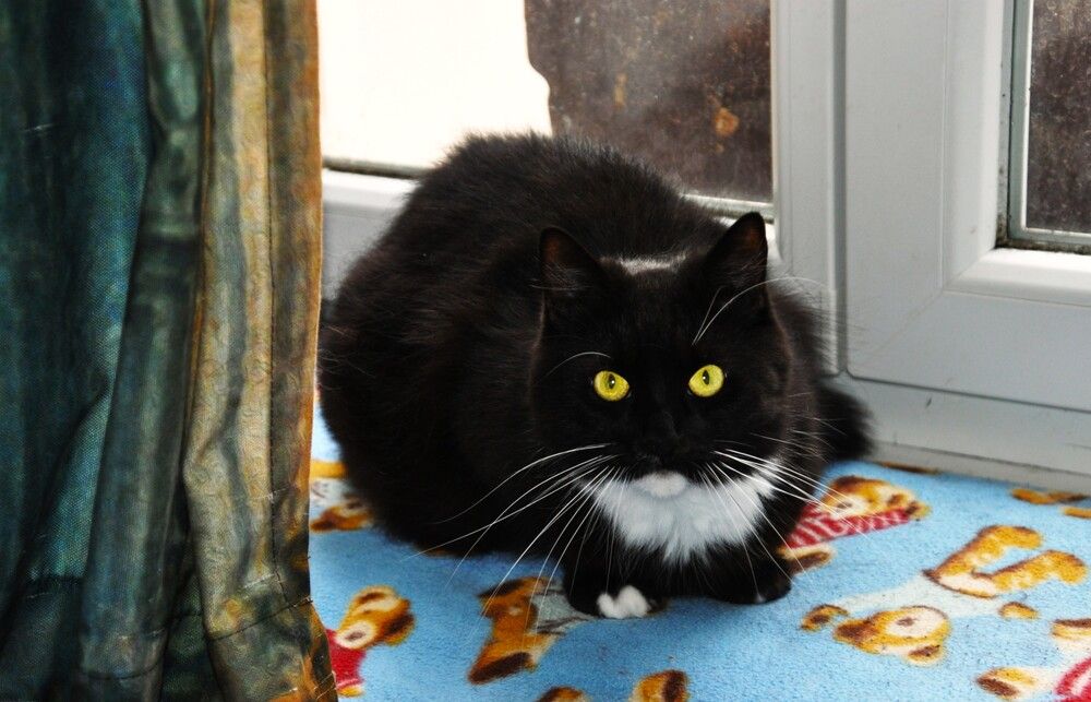 Photograph by Zdeňka Hudcová