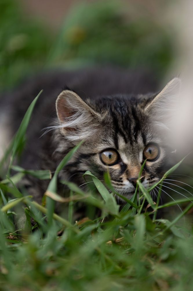 Photograph by Сивакова Виктория