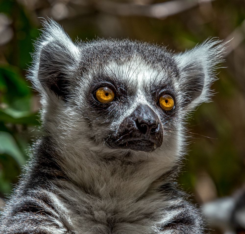 Photograph by Enrico Cimador