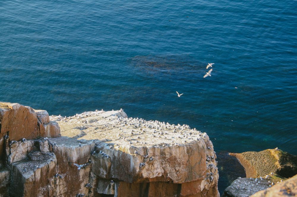 Photograph by Юлия Дягиль