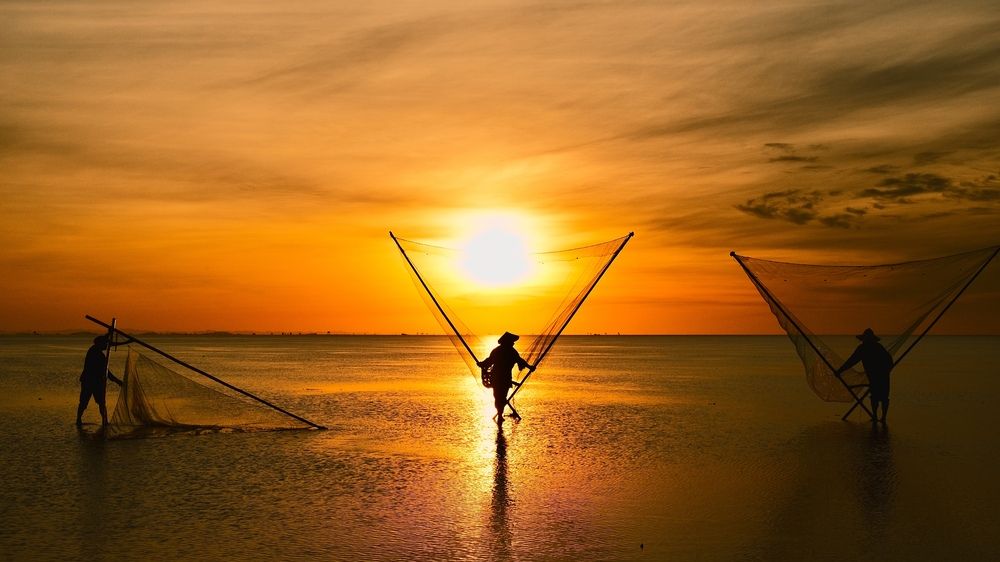 Photograph by Thịnh Nguyễn