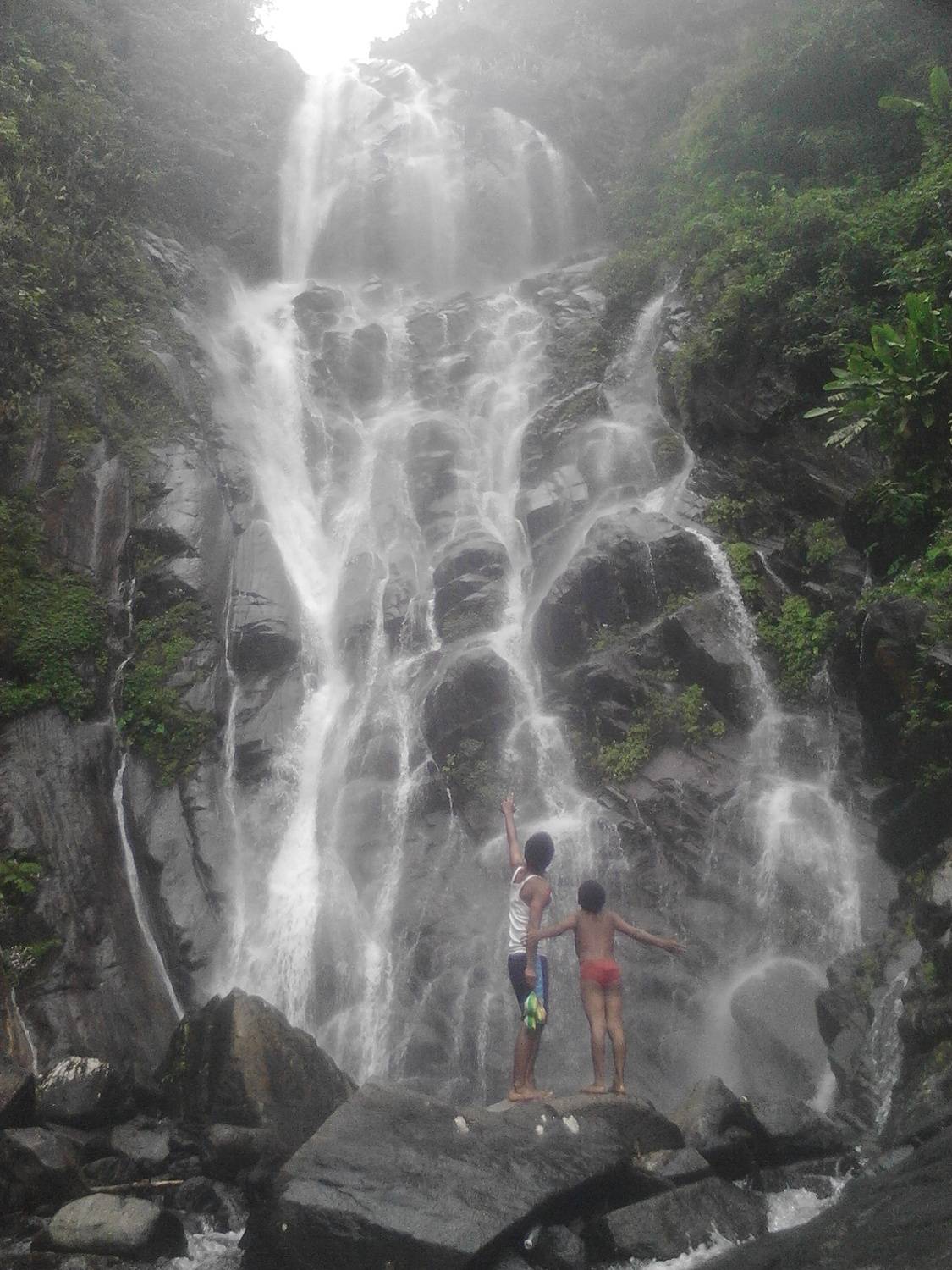 Photo #12249273
