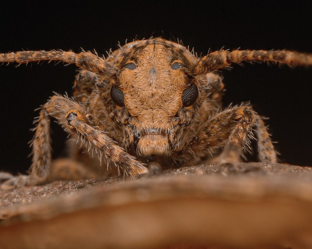 Photograph by Restito Carreon