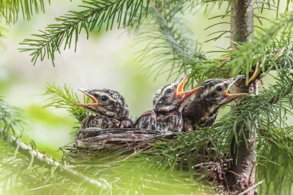 Photograph by Соколова Елена